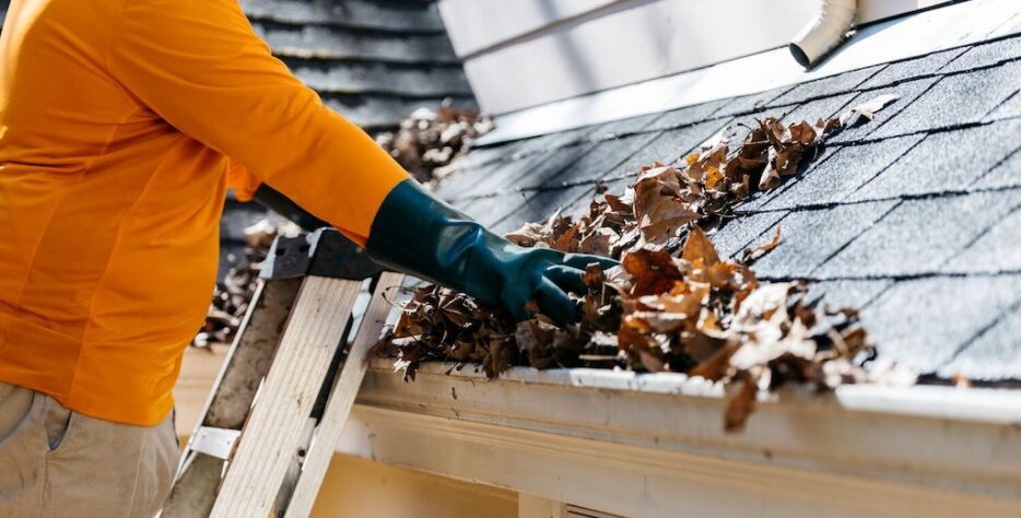 Clogged gutters can lead to serious and expensive damage to your house. At JL Stump Grinding, we offer thorough, reliable, and hassle-free gutter cleaning services