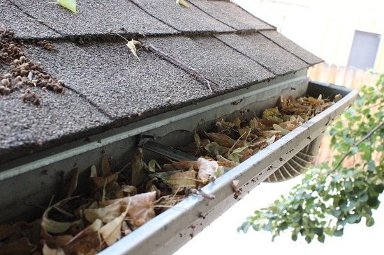 Clogged gutters can lead to serious and expensive damage to your house. At JL Stump Grinding, we offer thorough, reliable, and hassle-free gutter cleaning services