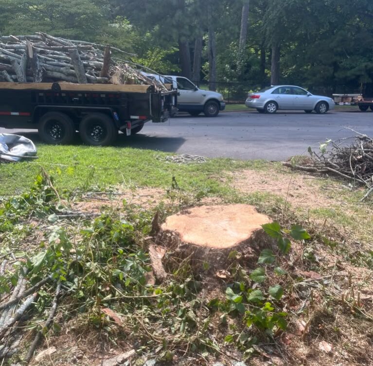 Tree stumps are not just unsightly—they are lawn mower hazards, breeding grounds for pests, and dangerous tripping obstacles.